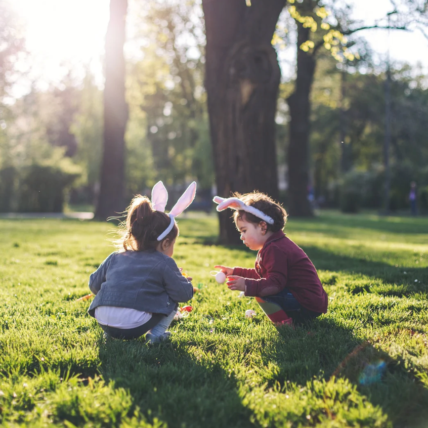 🐣 Hunting for Easter Eggs… and Paperwork? Why Getting Organized Matters More Than Ever