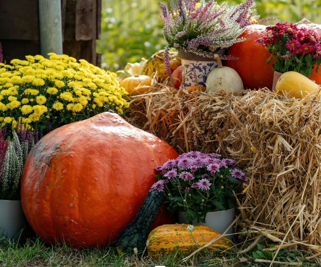 The Gift of Peace of Mind: Turning Gratitude Into Action