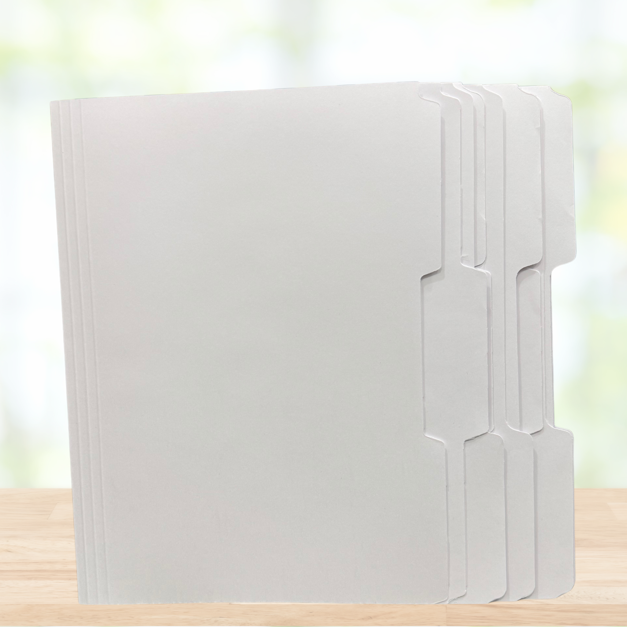 Extra Blank Folders 12 PACK