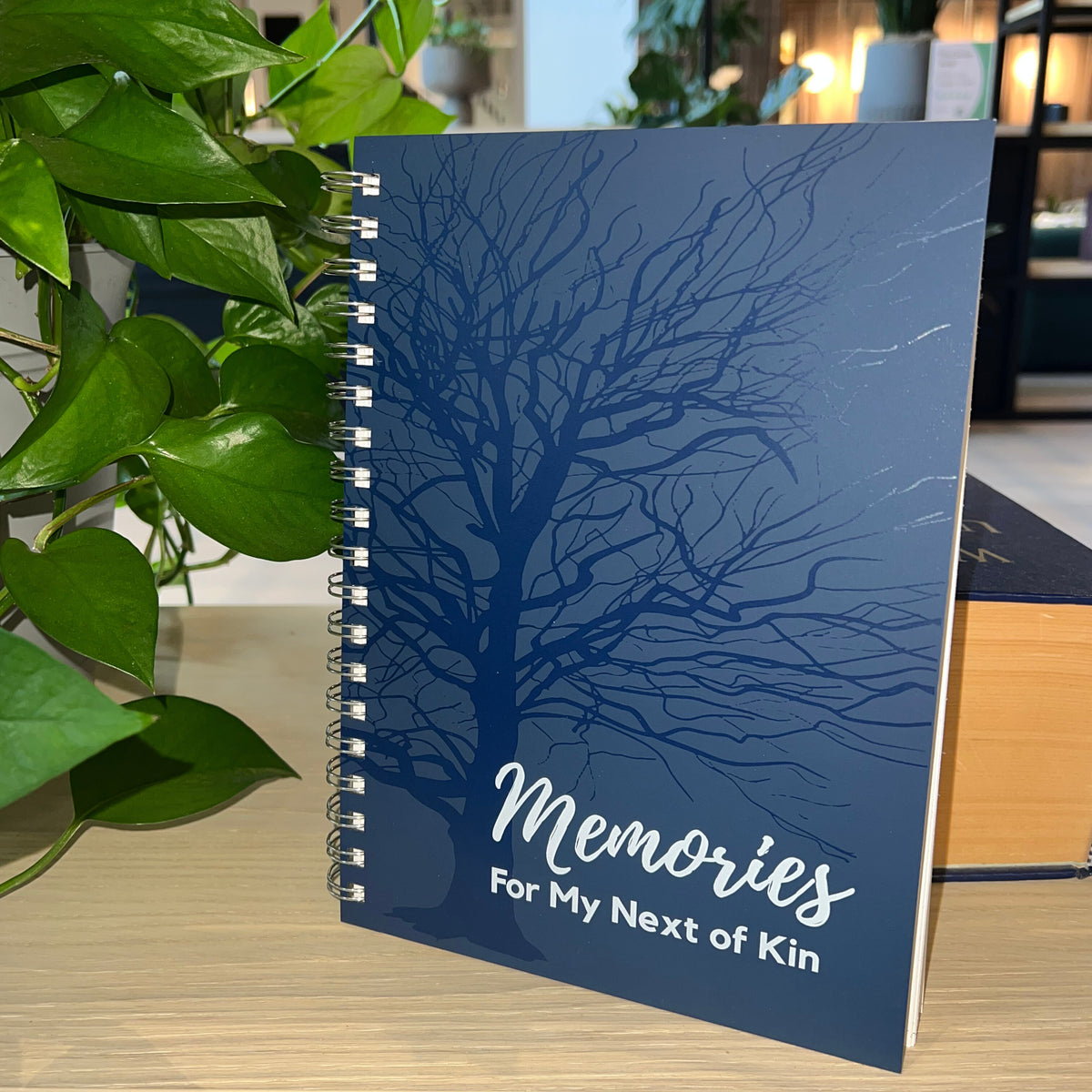Memories for My Next of Kin | The Nokbox