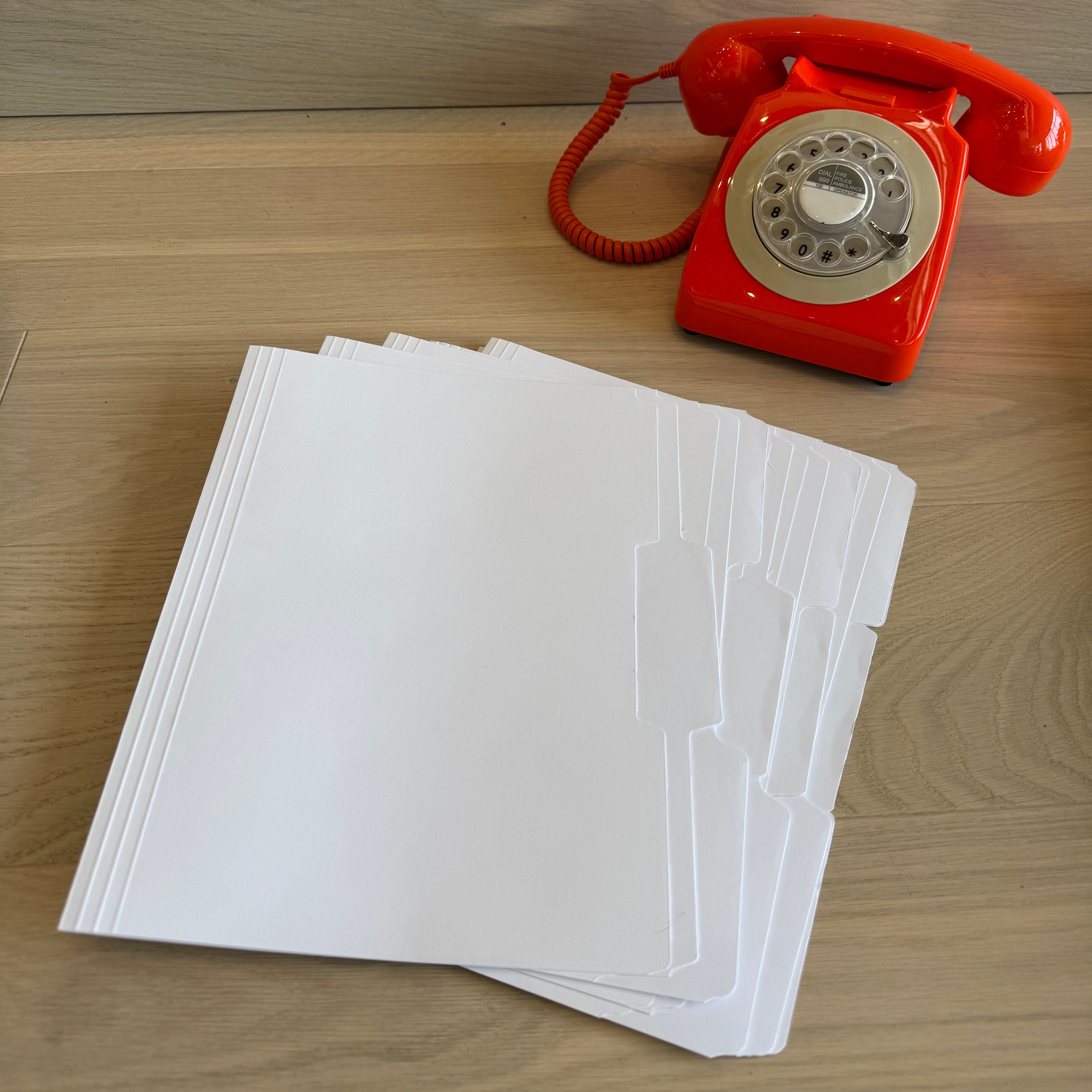 Extra Blank Folders 12 PACK